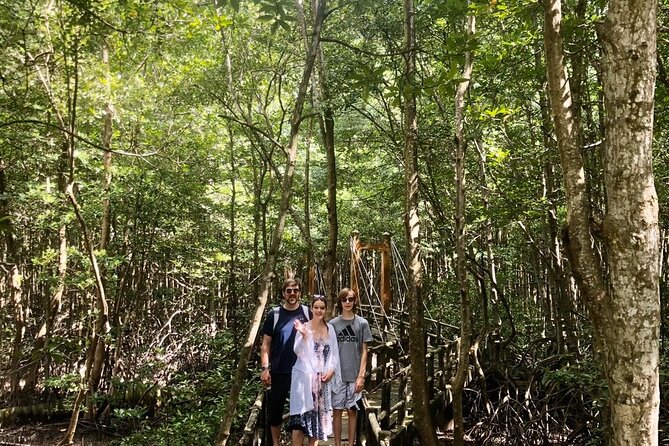 1-Day Can Gio Island-Mangrove Biosphere Reserve-Trekking - Monkey Island and the wildlife question