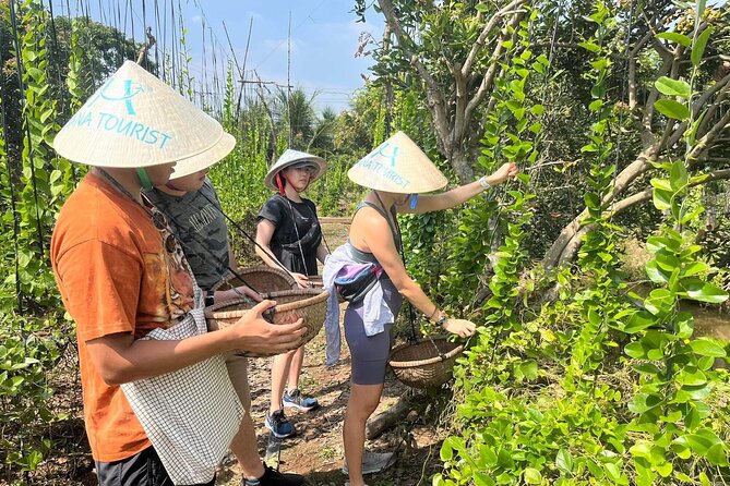 1-Day Explore Non-Touristy Side Of Mekong Delta- Group 10 Max - Longan gardens, honey tea, and a local home