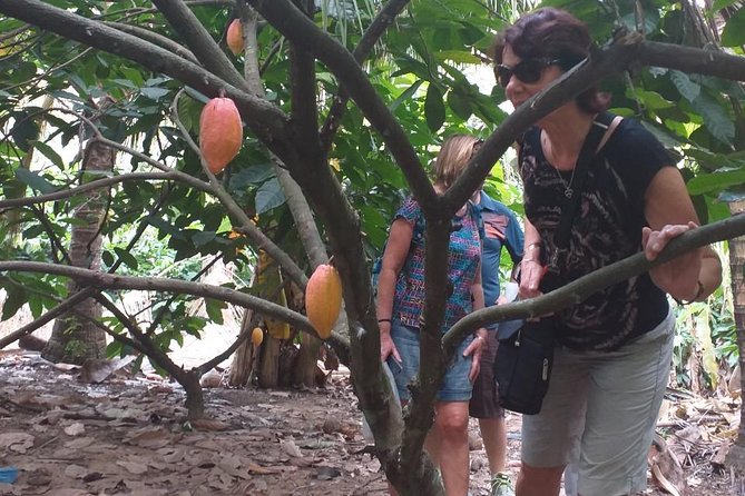 2-Day Mekong Delta with Cai Cang Floating Market from HCM City - Cai Be, chocolate, and traditional village work
