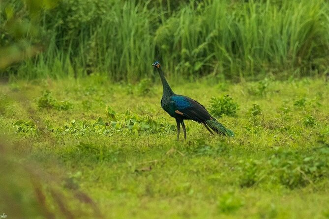 2-Day Trekking & Biking Nam Cat Tien National Park from HCM City - FAQ
