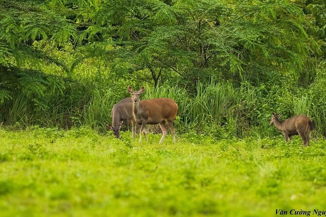 2-Day Trekking & Biking Nam Cat Tien National Park from HCM City - What the $319 price really covers
