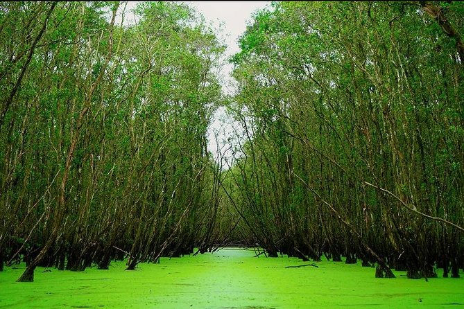 3D2N Mekong - Floating Market - Chau Doc - Boat To Phnom Penh - From Bui Vien to the Mekong Delta