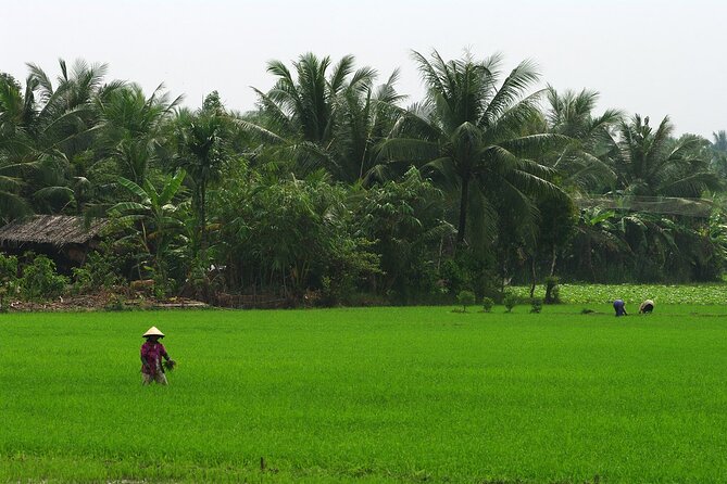 Adventure Cu Chi Tunnels and Mekong Delta Tour From HCM - Honey tea, fruit, coconut candy, and folk music