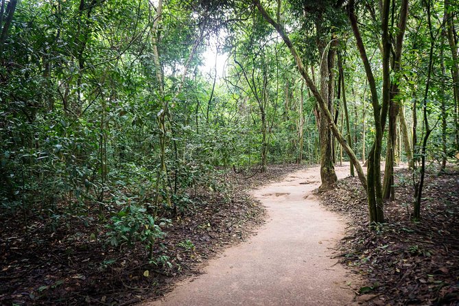 Afternoon Cu Chi Tunnels - Small Group Half-Day Tour - Why the Cu Chi Tunnels matter