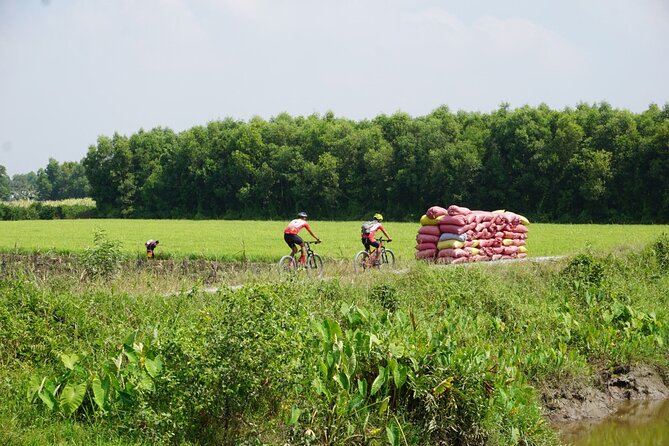 Bike And Boat Mekong Delta Cycling Tour - Leaving Saigon at 7:30 am
