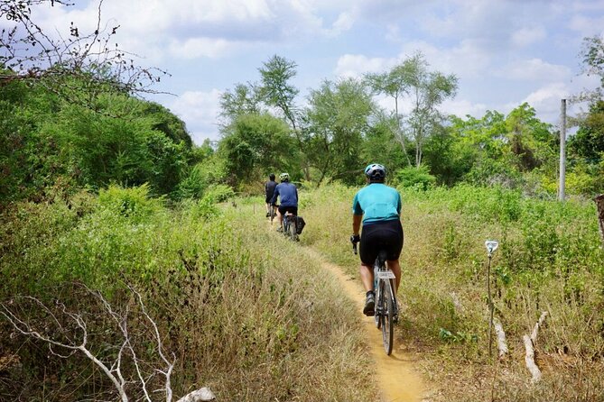 Bike And Boat Mekong Delta Cycling Tour - The river overpass is a useful mid-ride break