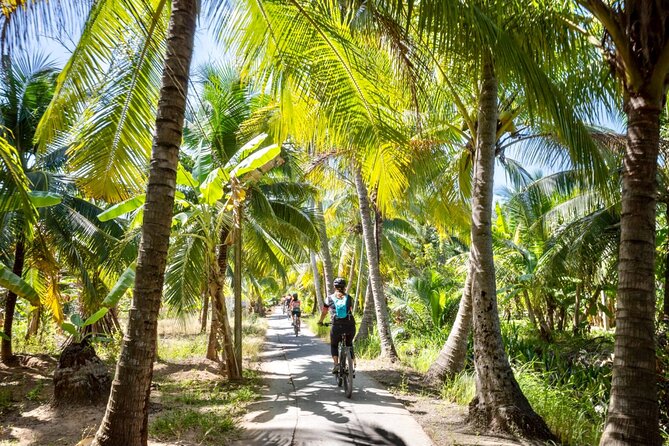 Bike And Boat Mekong Delta Cycling Tour - Rice paddies, coconut trees, and rural homes