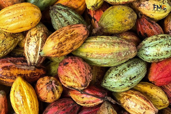 Cai Rang floating market, Cacao & hidden small canal - A short walk through My Khanh village