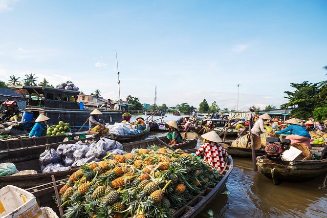 Cai Rang Floating Market & Mekong Delta 2-Day Tour from HCM City - Key points before you book