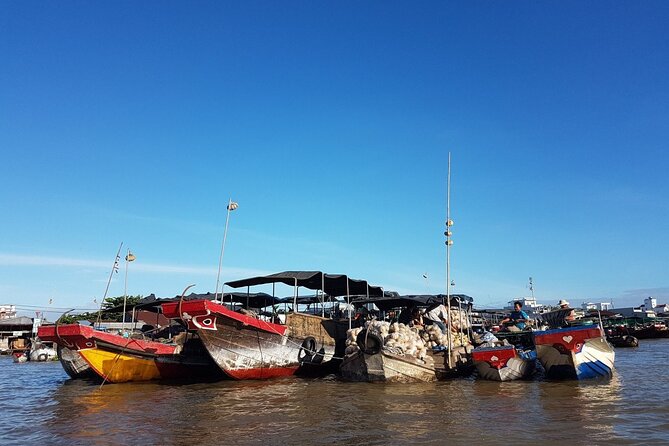 Cai Rang Floating Market Tour -Amazing Can Tho - Tropical fruit, small canals, and a quieter final hour