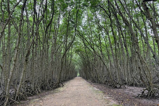 Can Gio Mangrove Adventure: Speedboat with Monkey Island - Who will enjoy this day most