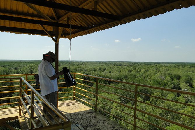 Can Gio Mangrove Eco And Wildlife Discovery Tour - Dan Xay Bridge and the boat ride into Vam Sat