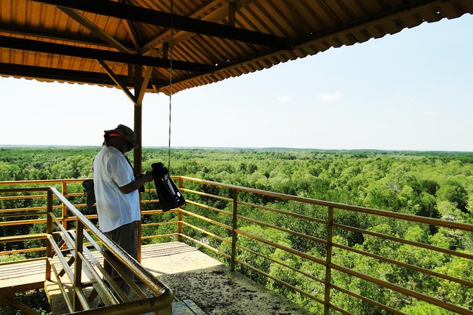Can Gio Mangrove Eco And Wildlife Discovery Tour - Rung Sac Guerrilla Base and the cost of war