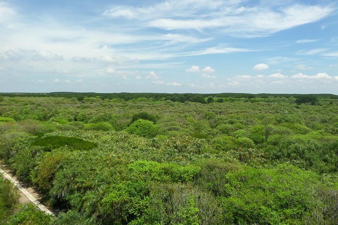 Can Gio Mangrove Eco And Wildlife Discovery Tour - Is $169 a fair price for this Can Gio trip?