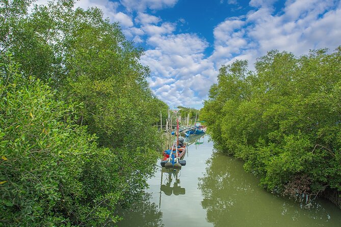 Can Gio Mangrove Forest 1 day tour - Can Gio is not the classic Mekong Delta outing