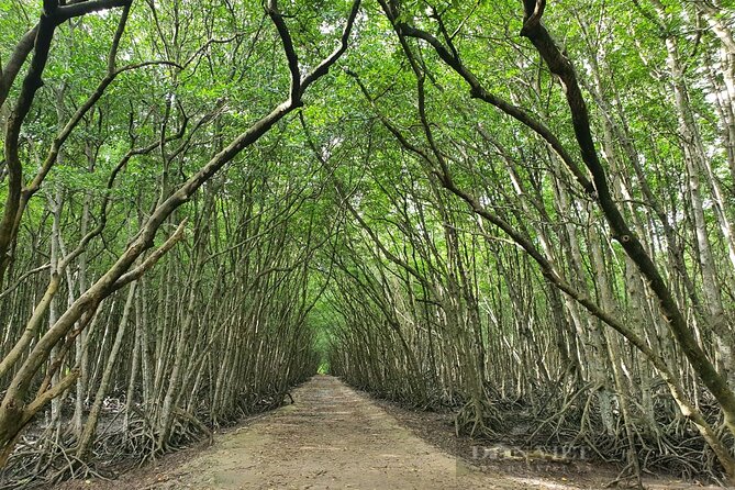 Can Gio Mangrove Forest 1 day tour - How good is the value at $55?