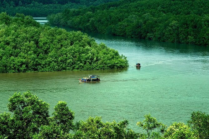 Can Gio Mangrove Forest Island Private Tour From Ho Chi Minh City - Key points to know before you go