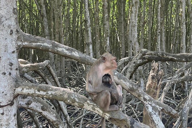 Can Gio Mangroves - Monkey Island by Motorbike and Scooter - Leaving Ho Chi Minh City by motorbike