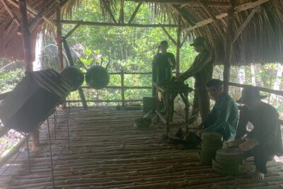 Can Gio Mangroves – Monkey Island by Motorbike and Scooter