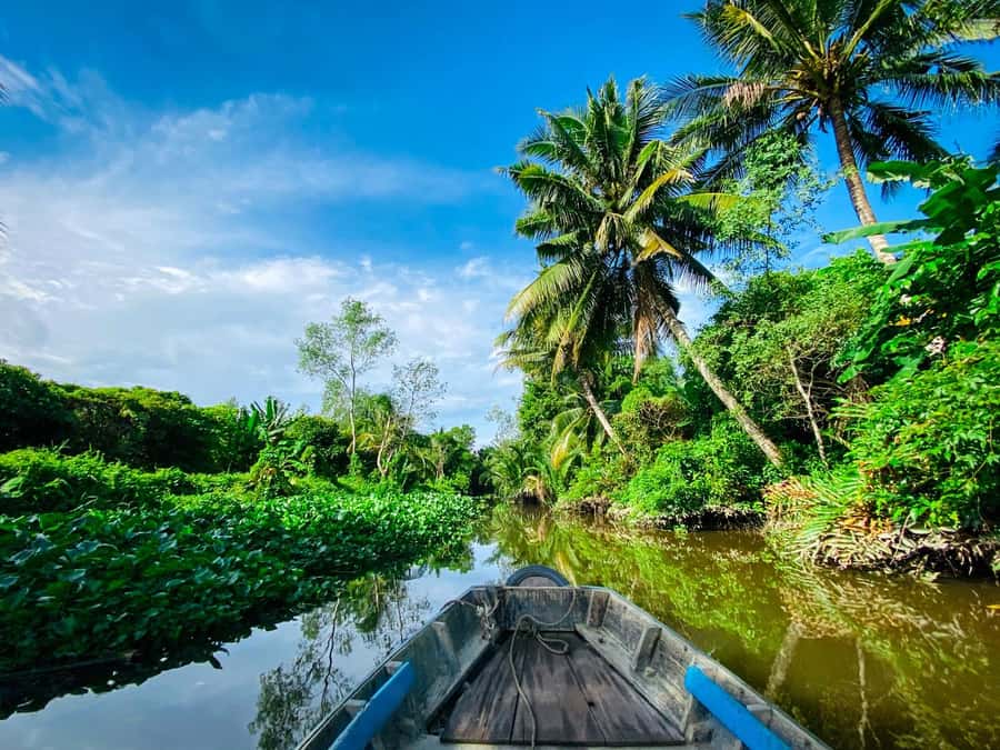 Can Tho: A Real Mekong Tour, Floating Market, Cacao & Life's - A 15-minute village walk to the cacao farm