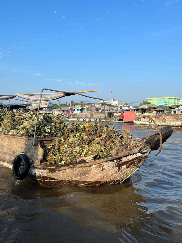 Can Tho: Cai Rang Floating Market and Canals - Why the early morning matters on the Can Tho River