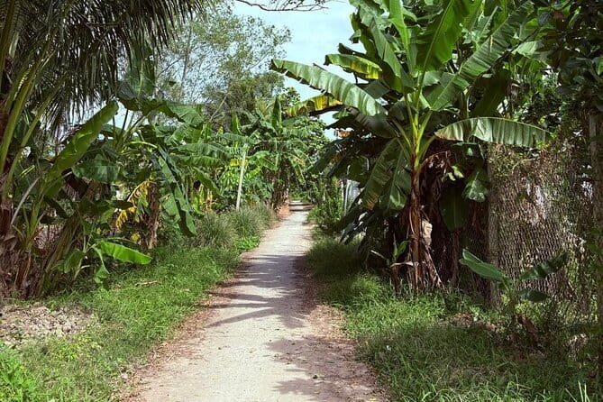 Can Tho Countryside Bike Tour with Fruit Garden Visit - Why this Can Tho bike tour feels different