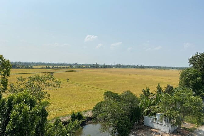 Can Tho: Explore Craft Village & Lung Ngoc Hoang Nature Reserve - A sampan through the wetland canals