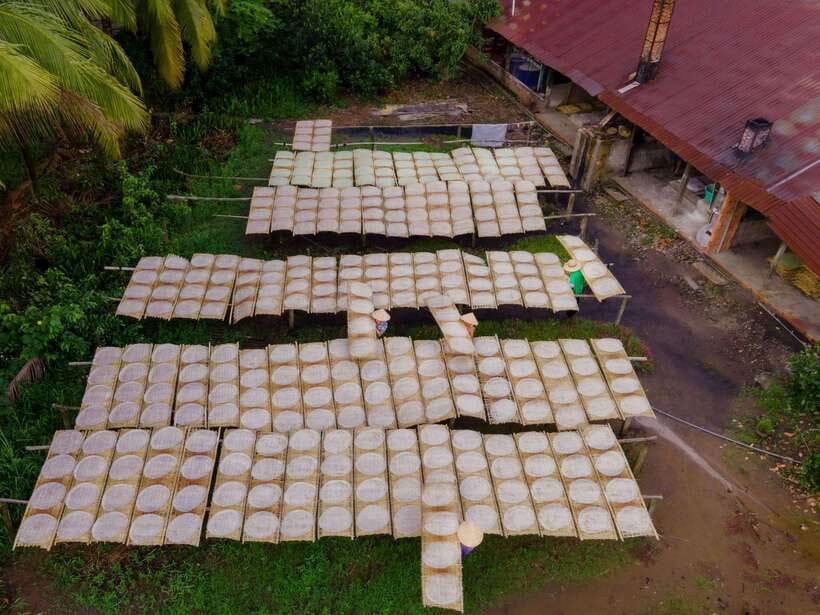 Can Tho: Explore Mekong, Floating Market, Cacao & Local Life - Mr. Cacao and a farm dating to the 1960s