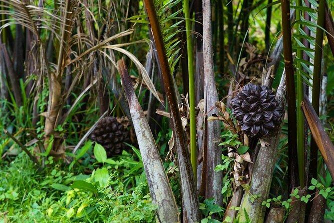 Can Tho Floating Market and Fruit Garden Tour - Quiet canals and a slower side of Can Tho