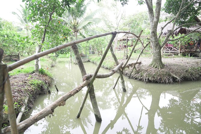 Can Tho Floating Market and Fruit Garden Tour - Who should book this Can Tho tour?