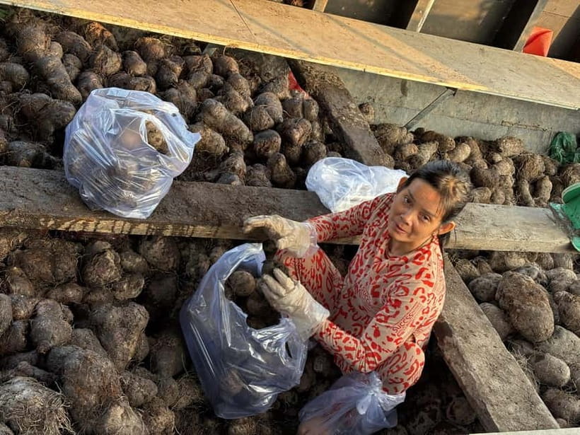 Can Tho: Floating Market, Cacao & Canals with French Guide - Narrow canals, water coconut, and a countryside walk