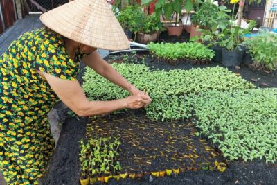 Floating Market, Canals, Nature Reserve & Forest