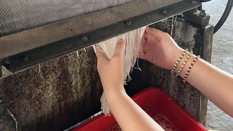 Can Tho: Floating Market explore local life, Mekong farm - Making rice noodles at Lò hủ tiếu Chín Của