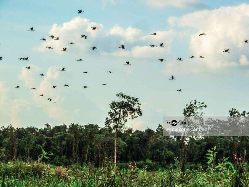 Can Tho: Lung Ngoc Hoang Forest Nature Reserve Half-Day Tour - The 1.2-kilometer nature walk