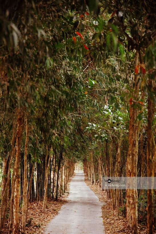 Can Tho: Lung Ngoc Hoang Nature Reserve & Forest Tour - Why Lung Ngoc Hoang makes a good change from the floating market