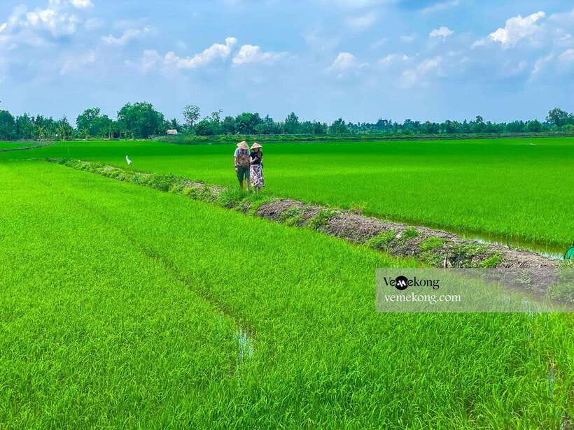 Can Tho: Lung Ngoc Hoang Nature Reserve & Forest Tour - Walking the pancake paths through the forest