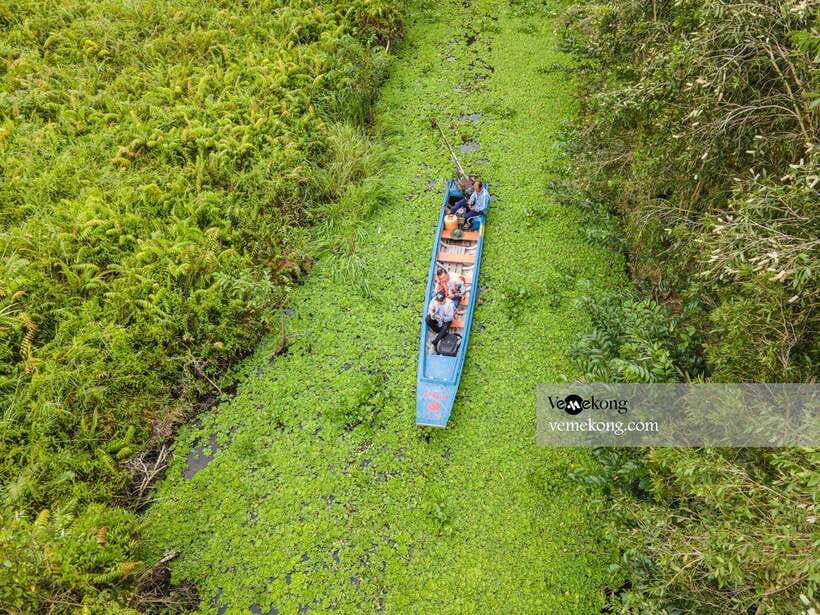 Can Tho: Lung Ngoc Hoang Nature Reserve & Forest Tour - The giant ficus and the Mekong Delta war years