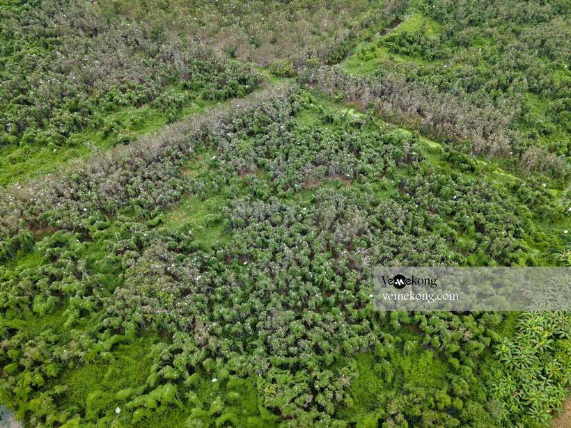 Can Tho: Lung Ngoc Hoang Nature Reserve & Forest Tour - Price, timing, and what the $47 includes