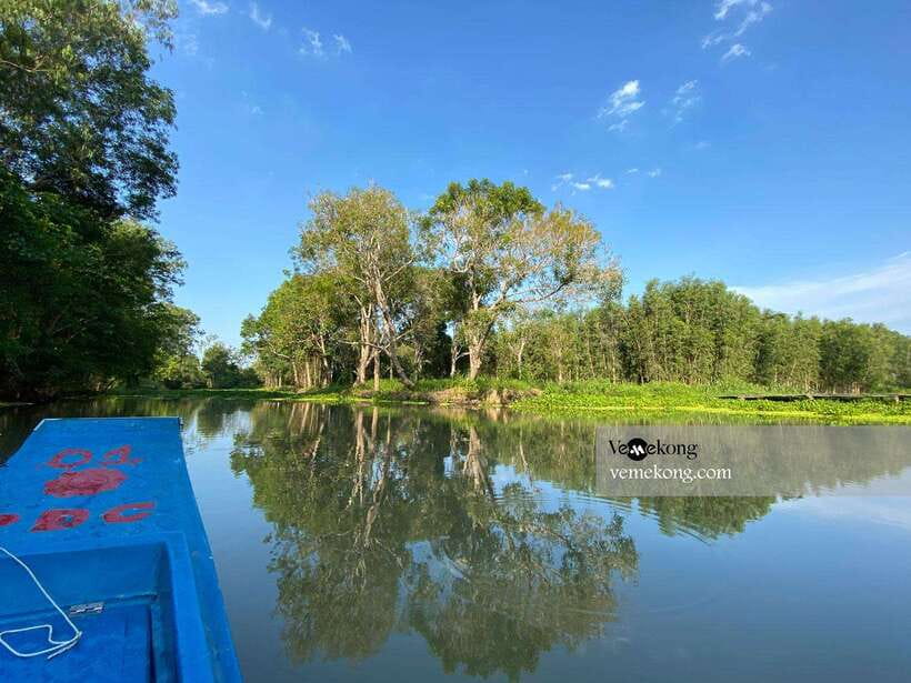 Can Tho: Lung Ngoc Hoang Nature Reserve & Forest Tour - Who should book this forest tour?