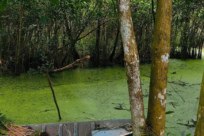Can Tho: Lung Ngoc Hoang Nature Reserve & Hidden Forests - Birdwatching in a Working Wetland