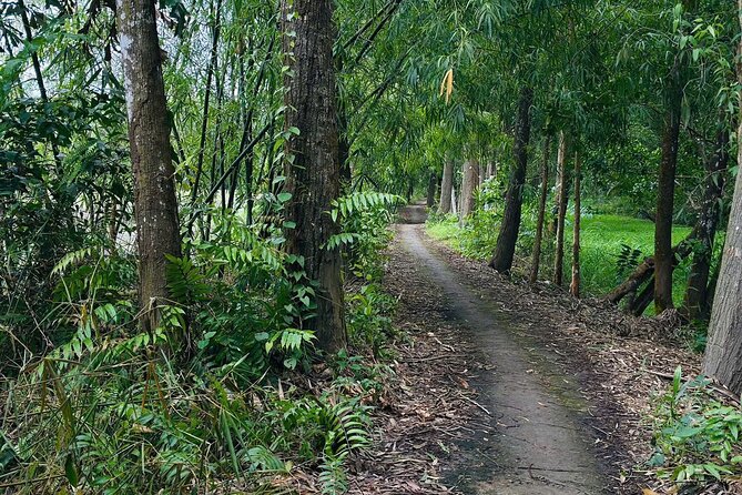 Can Tho: Lung Ngoc Hoang Nature Reserve & Hidden Forests - The 25-Meter Watchtower View
