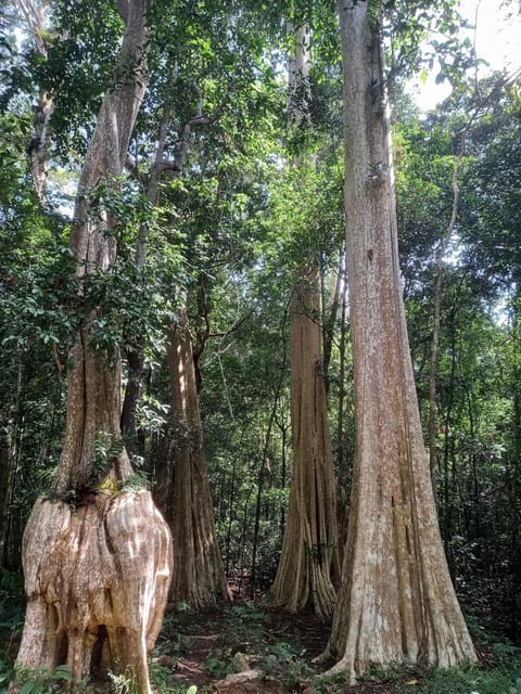 Cat Tien National Park with Crocodile Lake - The Crocodile Lake morning