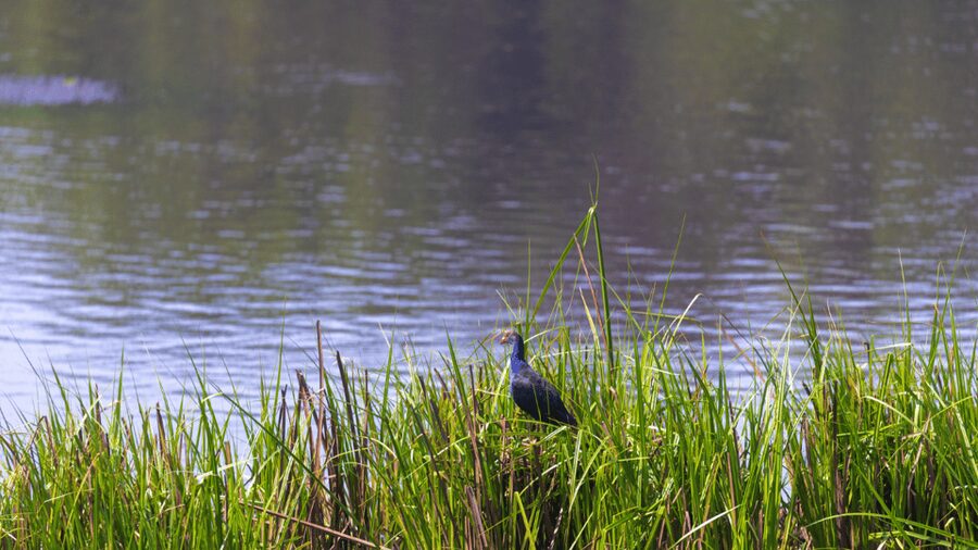 Cat Tien National Park with Crocodile Lake - Who will enjoy this experience most