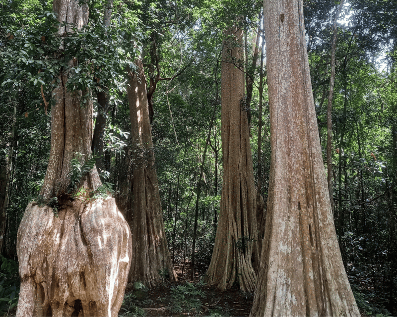 Cat Tien National Park with Crocodile Lake - What to pack for the forest