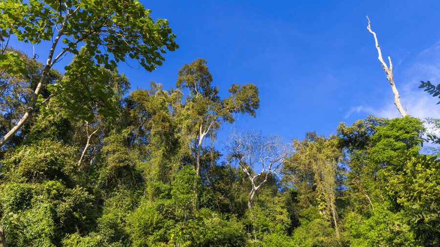 Cat Tien National Park with Crocodile Lake - Crossing the river and reaching Green Hope Lodge
