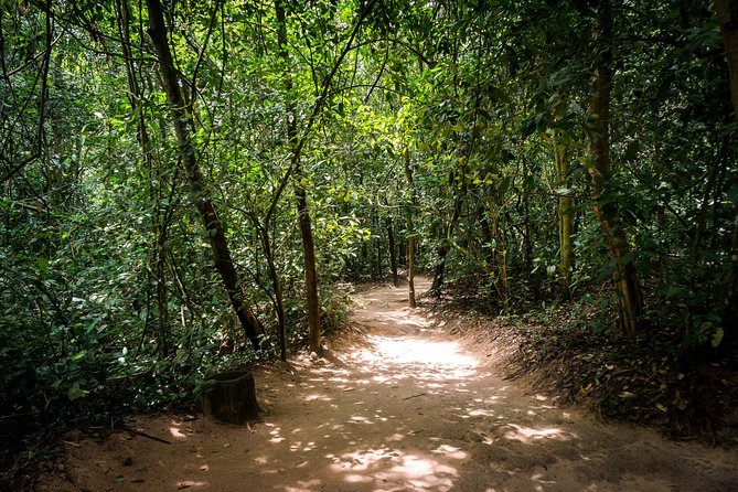 Cu Chi Tunnels Half-Day Tour: Vietnam War Underground Network - Entering the tunnels