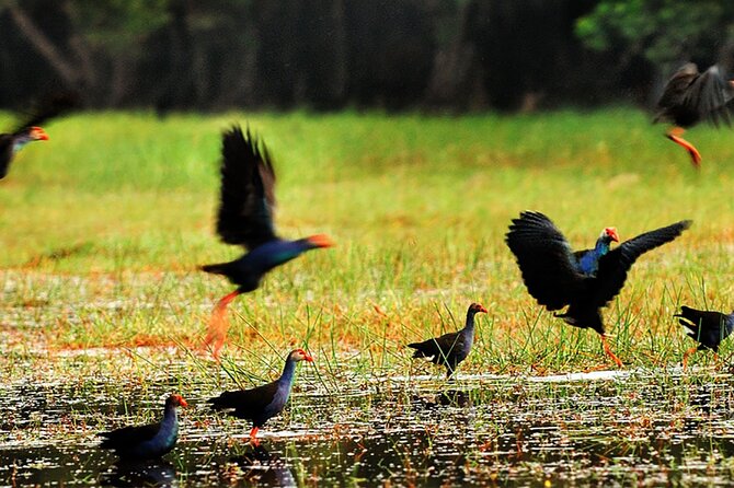 Discover Mua Xuan Nature Reserve - What the $58 price really covers