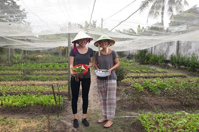 Discover vietnamese Agriculture,culture ,Cuisine and Cu chi Tunnels in Saigon - Entering the Cu Chi Tunnels