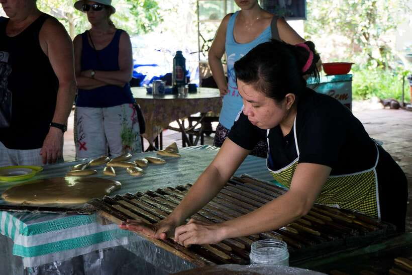 Essential Mekong Delta: Highlight Tour from Ho Chi Minh City - Is $23 good value?