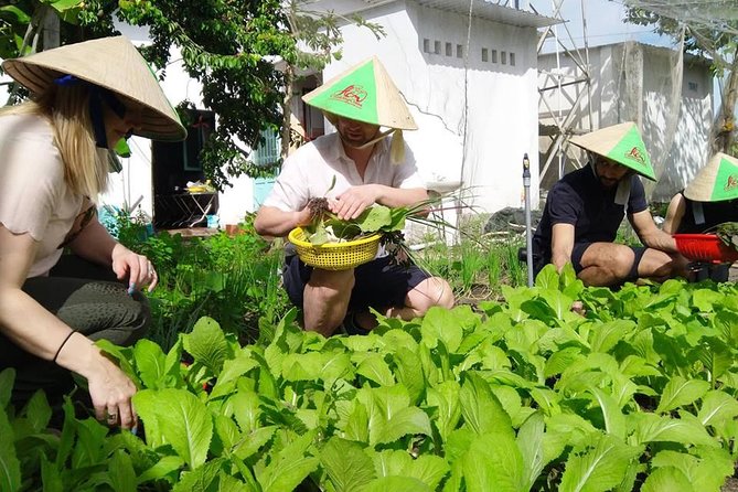 Explore Vietnamese Cuisine: Cooking Class from Ho Chi Minh City - Should you book this Ho Chi Minh City cooking class?